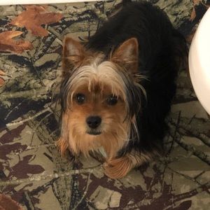 Meet your Posher, Sergio